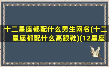 十二星座都配什么男生网名(十二星座都配什么高跟鞋)(12星座配什么男朋友)