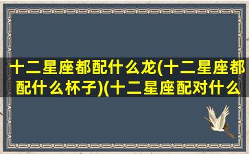 十二星座都配什么龙(十二星座都配什么杯子)(十二星座配对什么衣服最好看)