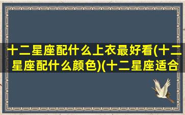 十二星座配什么上衣最好看(十二星座配什么颜色)(十二星座适合什么颜色的衣服)