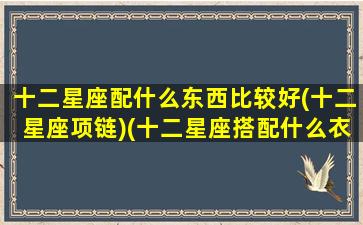 十二星座配什么东西比较好(十二星座项链)(十二星座搭配什么衣服最好看)