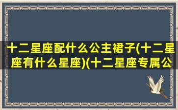 十二星座配什么公主裙子(十二星座有什么星座)(十二星座专属公主裙礼服)