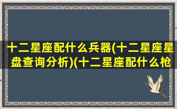 十二星座配什么兵器(十二星座星盘查询分析)(十二星座配什么枪)