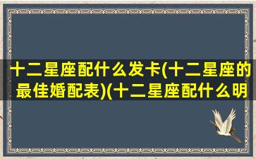 十二星座配什么发卡(十二星座的最佳婚配表)(十二星座配什么明星)