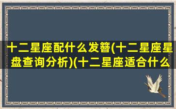 十二星座配什么发簪(十二星座星盘查询分析)(十二星座适合什么发色)