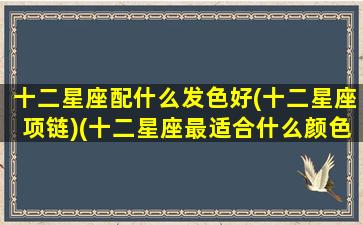 十二星座配什么发色好(十二星座项链)(十二星座最适合什么颜色的头发)