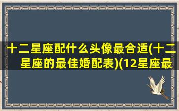 十二星座配什么头像最合适(十二星座的最佳婚配表)(12星座最适合的头像)