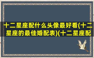 十二星座配什么头像最好看(十二星座的最佳婚配表)(十二星座配什么颜色好看)