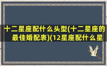 十二星座配什么头型(十二星座的最佳婚配表)(12星座配什么星座最好)