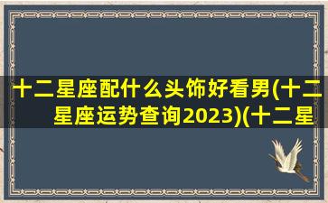 十二星座配什么头饰好看男(十二星座运势查询2023)(十二星座戴什么头饰最好看)