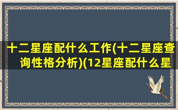 十二星座配什么工作(十二星座查询性格分析)(12星座配什么星座最好)