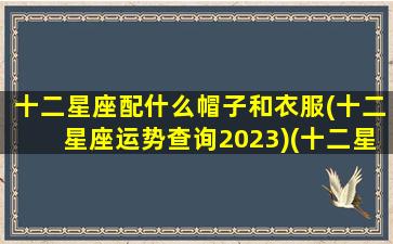 十二星座配什么帽子和衣服(十二星座运势查询2023)(十二星座配什么颜色好看)