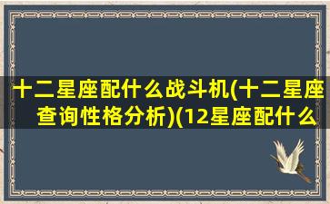 十二星座配什么战斗机(十二星座查询性格分析)(12星座配什么)