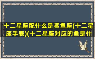 十二星座配什么是鲨鱼座(十二星座手表)(十二星座对应的鱼是什么)