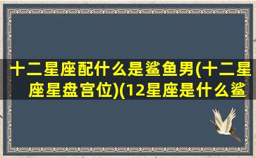 十二星座配什么是鲨鱼男(十二星座星盘宫位)(12星座是什么鲨鱼)