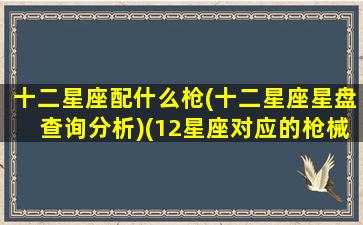 十二星座配什么枪(十二星座星盘查询分析)(12星座对应的枪械)