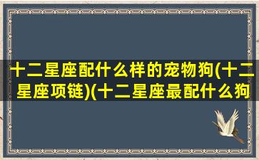 十二星座配什么样的宠物狗(十二星座项链)(十二星座最配什么狗狗)