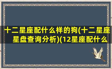 十二星座配什么样的狗(十二星座星盘查询分析)(12星座配什么星座最好)