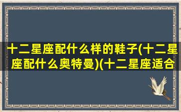 十二星座配什么样的鞋子(十二星座配什么奥特曼)(十二星座适合什么鞋子)