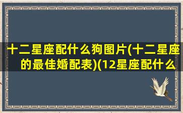 十二星座配什么狗图片(十二星座的最佳婚配表)(12星座配什么星座最好)