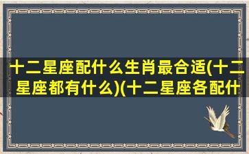 十二星座配什么生肖最合适(十二星座都有什么)(十二星座各配什么星座)