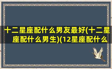 十二星座配什么男友最好(十二星座配什么男生)(12星座配什么男朋友)