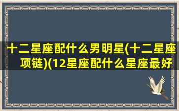 十二星座配什么男明星(十二星座项链)(12星座配什么星座最好)