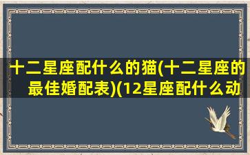 十二星座配什么的猫(十二星座的最佳婚配表)(12星座配什么动物)