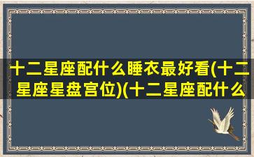 十二星座配什么睡衣最好看(十二星座星盘宫位)(十二星座配什么颜色好看)