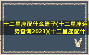 十二星座配什么篮子(十二星座运势查询2023)(十二星座配什么颜色好看)