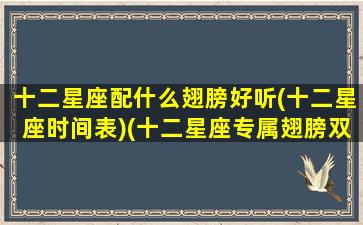 十二星座配什么翅膀好听(十二星座时间表)(十二星座专属翅膀双子座图片)