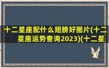 十二星座配什么翅膀好图片(十二星座运势查询2023)(十二星座的专属翅膀分别是什么)