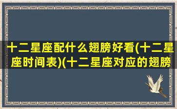 十二星座配什么翅膀好看(十二星座时间表)(十二星座对应的翅膀)