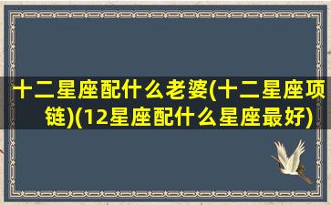 十二星座配什么老婆(十二星座项链)(12星座配什么星座最好)