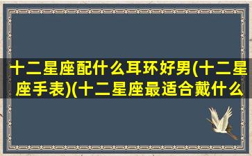 十二星座配什么耳环好男(十二星座手表)(十二星座最适合戴什么样的戒指手环项链头饰)