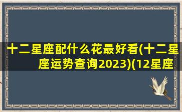 十二星座配什么花最好看(十二星座运势查询2023)(12星座适合的花)