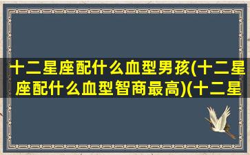 十二星座配什么血型男孩(十二星座配什么血型智商最高)(十二星座搭配什么男生)