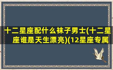 十二星座配什么袜子男士(十二星座谁是天生漂亮)(12星座专属袜子)