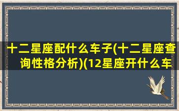 十二星座配什么车子(十二星座查询性格分析)(12星座开什么车)