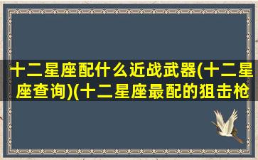 十二星座配什么近战武器(十二星座查询)(十二星座最配的狙击枪)