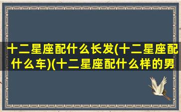 十二星座配什么长发(十二星座配什么车)(十二星座配什么样的男生)