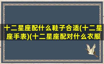 十二星座配什么鞋子合适(十二星座手表)(十二星座配对什么衣服最好看)