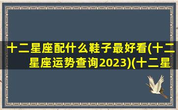 十二星座配什么鞋子最好看(十二星座运势查询2023)(十二星座配什么颜色好看)