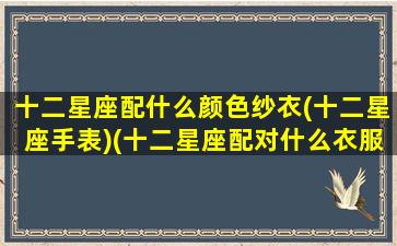 十二星座配什么颜色纱衣(十二星座手表)(十二星座配对什么衣服最好看)