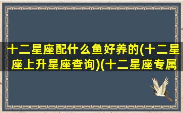 十二星座配什么鱼好养的(十二星座上升星座查询)(十二星座专属鱼类)