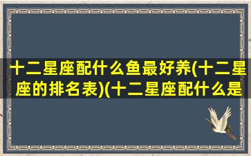 十二星座配什么鱼最好养(十二星座的排名表)(十二星座配什么是鲨鱼)