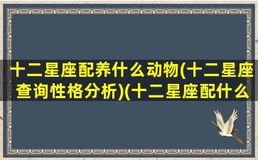 十二星座配养什么动物(十二星座查询性格分析)(十二星座配什么星座最好)