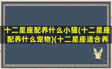 十二星座配养什么小猫(十二星座配养什么宠物)(十二星座适合养什么宠物猫)