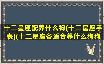 十二星座配养什么狗(十二星座手表)(十二星座各适合养什么狗狗)