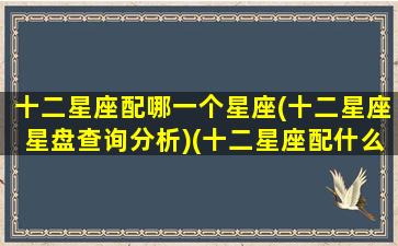 十二星座配哪一个星座(十二星座星盘查询分析)(十二星座配什么星座)