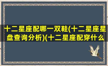 十二星座配哪一双鞋(十二星座星盘查询分析)(十二星座配穿什么裙子)